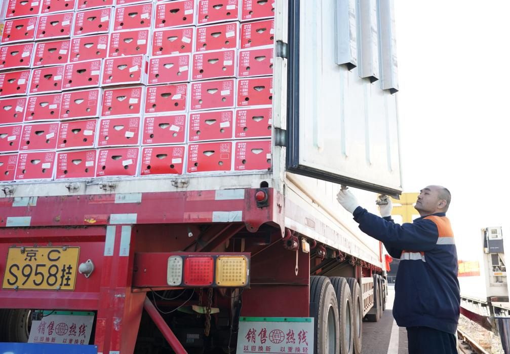 Shipment Of 390 Tons Of Bananas Transported By China, Laos Railway Arrives In Beijing, China Nsn Asia 2024