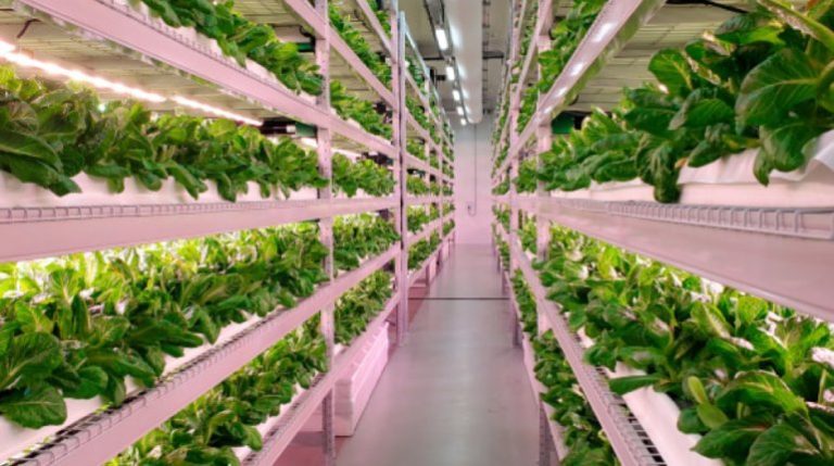 Food-Security