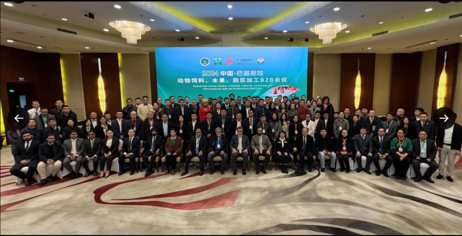 Pakistan-offers-lucrative-incentives-for-Chinese-agro-enterprises-says-ambassador-Khalil-Hashmi-NSN-Asia